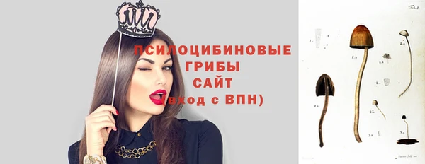 Альфа ПВП Баксан
