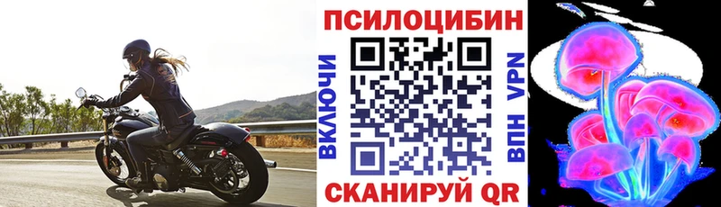 Галлюциногенные грибы GOLDEN TEACHER  цена   Кунгур 